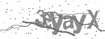 visual captcha